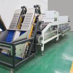 8 Lanes 8 Expectation Discharges Dates Sorting Machine High Output