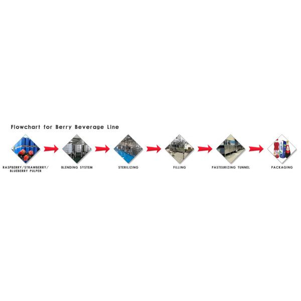 High Output Berry Processing Equipment 20 T / Day To 1500 T / Day Turnkey Solution