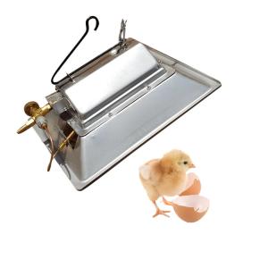 Wholesale Manual Ignition LPG Poultry Brooder Heater Gas Brooder For Husbandry Equipment from china suppliers