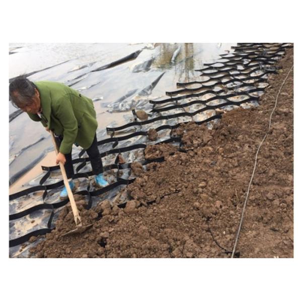 Thickness 1.0 -1.2 Mm Hdpe Geotextile Farmhouse Geocell