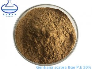 China 20% Pure Plant Extracts , Gentian Root Extract gentiana scabra bge pe on sale