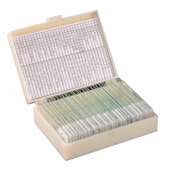 Quality Homeschool Teaching 30pcs Human Tissue Microscope Slides On Basic Science for sale