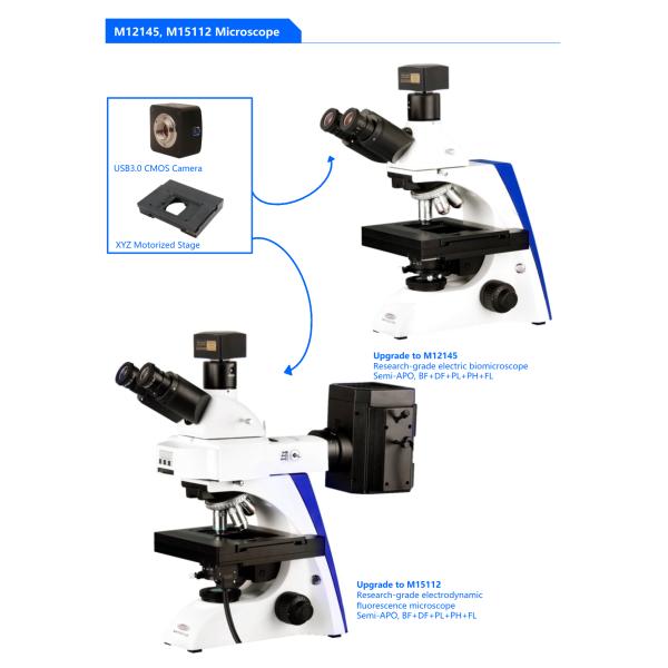 3D Full Auto Biological Microscope Motorized Biological Microscope, BF, XYZ Motorized