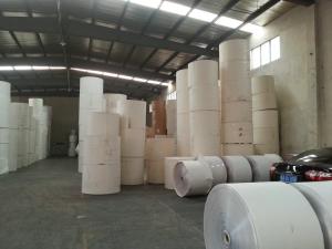Customized Printing White PE Coated Printed Paper Roll for Making Paper Cups