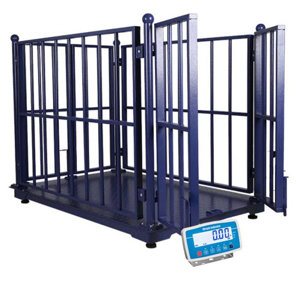 Stainless Steel Horse Scale Floor Scale for Livestock Farm With Fence 500g Accuracy and AC110V/220V Power Supply