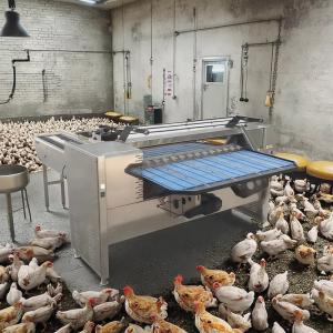 Egg Sorting Grading Machinery Egg Sorting And Washing Machine Egg Sorter Machine