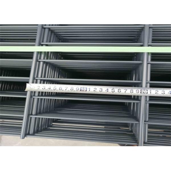 50mm*200mm 6/5/6 Type Hole Size Twin Wire Mesh Fence Garden use