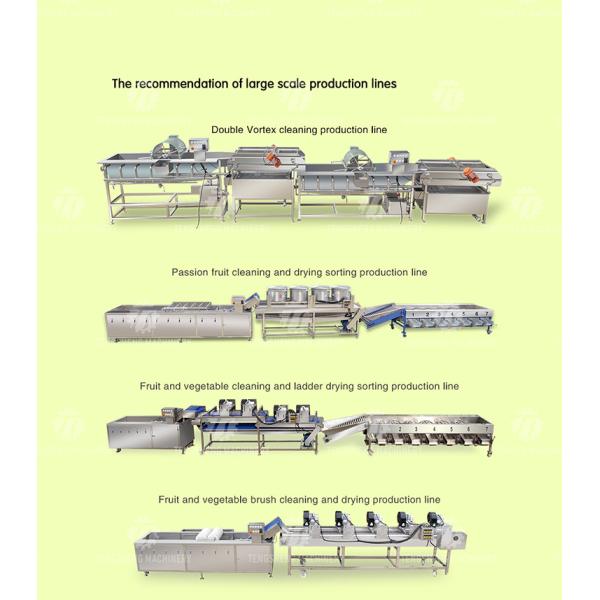 Connected Pipeline Jujube Fruit Sorting Machine Multifunctional