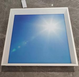 Wholesale Skylight blue sky clouds recessed 600x600mm decorative led ceiling panel light,decorative plate led panel from china suppliers
