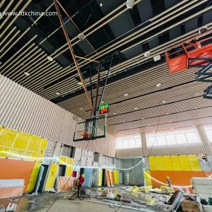 Wholesale Ultra-Space Saver Roof-Mount Basketball Hoop Fold-Down &amp; Electric from china suppliers