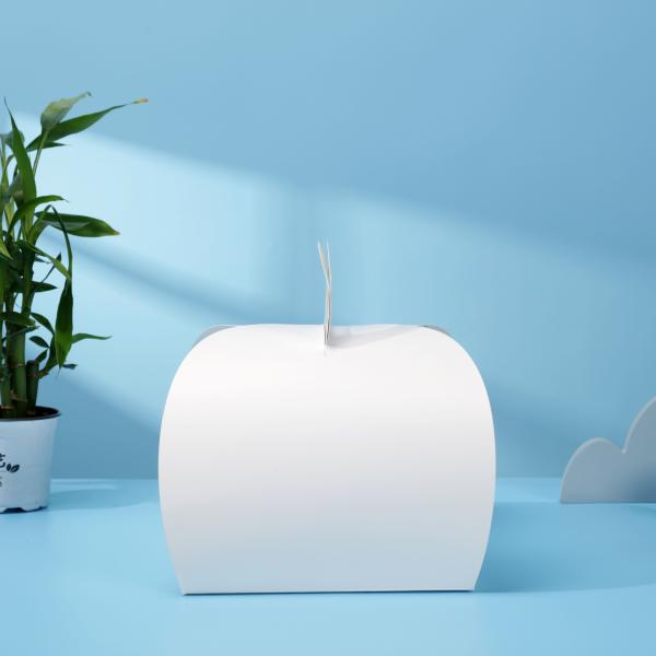 OEM Brand Food Packaging Take Out Paper Box For Convenient Cake Storage Transport