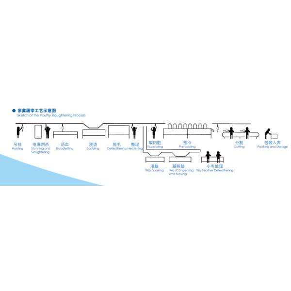 Fully Featured Chicken Slaughtering Machine Stainless Steel 304 High Productivity