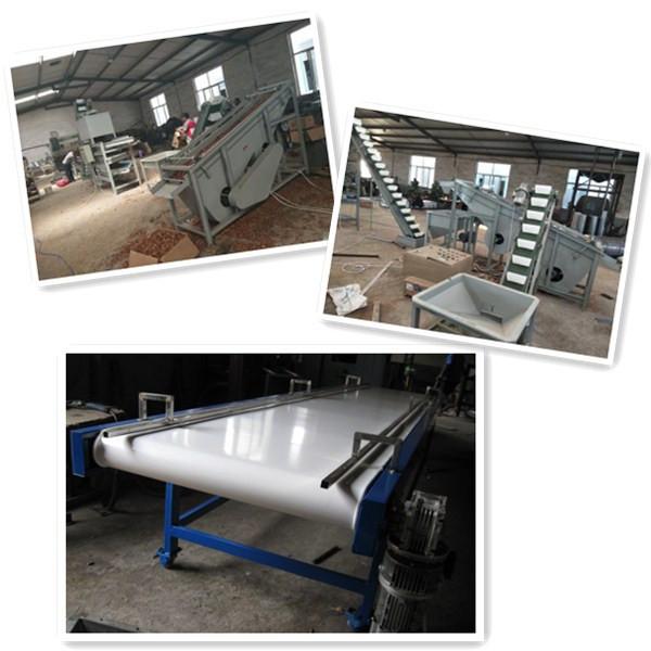 Quality walnut processing machines, walnut cracker, walnut shelling machine for sale