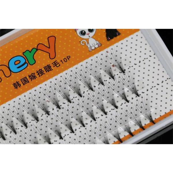 10D 3D Volume Eyelash Extensions , Prime Semi Permanent Individual Lashes Silk