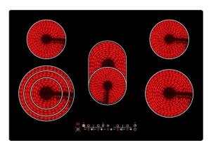 Rosh 60Hz Touch Sensor Built In Induction Cooker