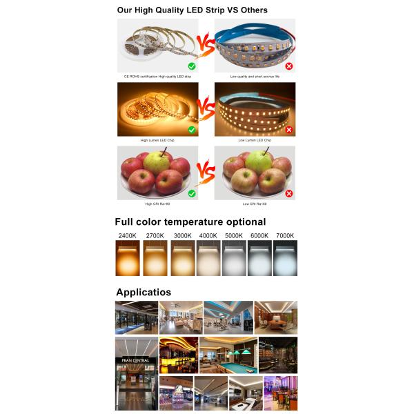 APP Control 12V Colour Changing LED Lights SMD 3535 IP20 IP65 Waterproof