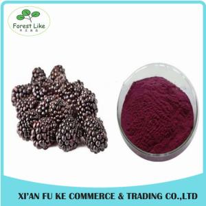 Wholesale Hight-quality Instant Freeze Dried Mulberry Extract Fructus Morin Powder from china suppliers
