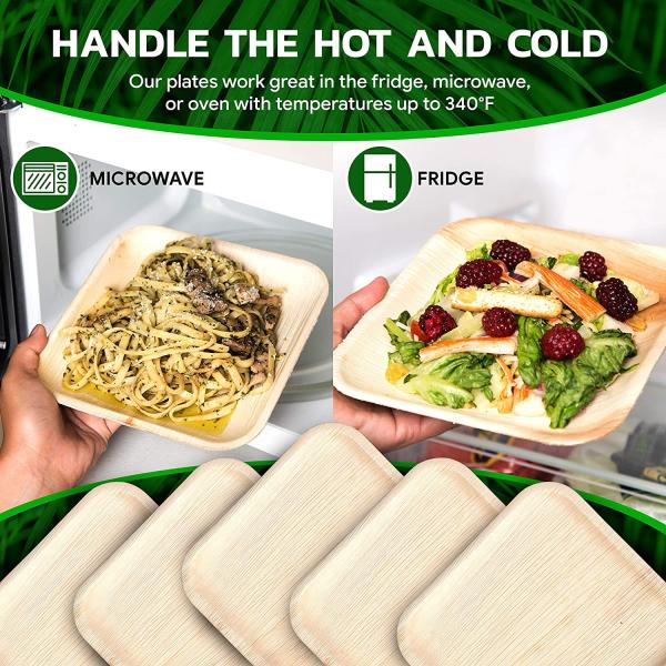 Square Biodegradable Disposable Tableware