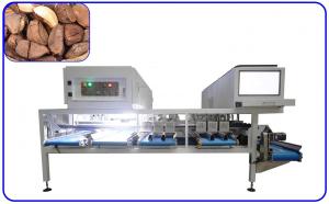 China AI Brazil Nuts Sorting Machine Stainless Steel 12 Channel Electric Drive on sale