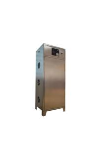 China PLC Intelligent Control Portable Ozone Generator , Silver Small Ozone Generator on sale