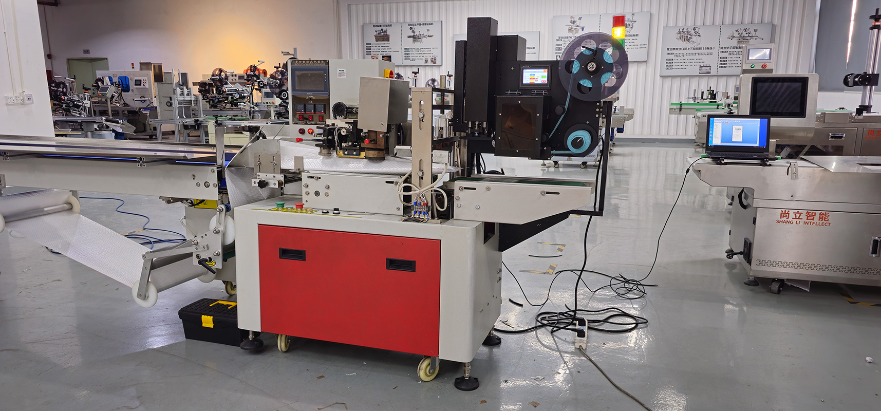 Real Time Printer and Motor Core Components Applied Bubble Bag Packing Labeling System