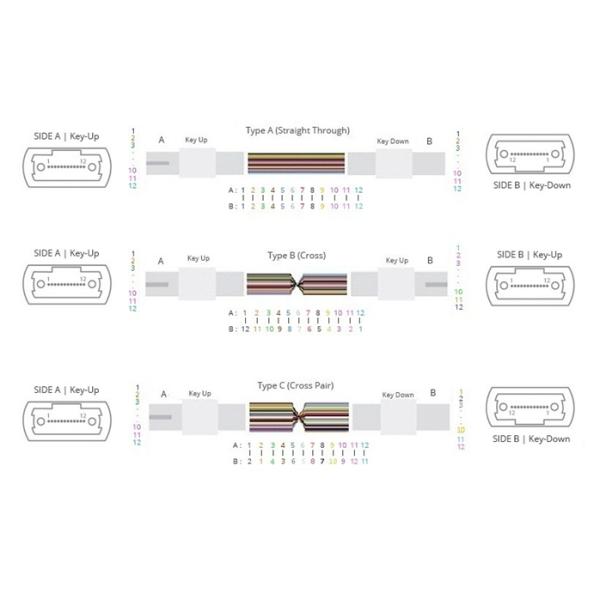 MPO Trunk Cable 30M 12F 3.0mm OM2 MPO Female 50 / 125μm 200M LSZH Polarity B High Return Loss Orange Senko