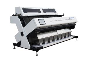 China Intelligent Small Lentils Grain 15'' Bean Color Sorter Machine on sale