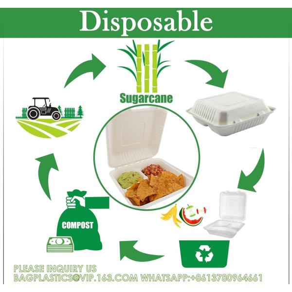 100% Compostable 3 Comp Take Out Food Containers Containers, Natural Disposable Bagasse, Eco-Friendly Biodegrad