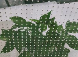 Wholesale P25-50 Transparent LED Panel Synchronous Box Control Screen Mode 400W/M2 from china suppliers