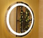 WiFi Android System Modern Oval LED Makeup Mirror with Touch Screen and Digital