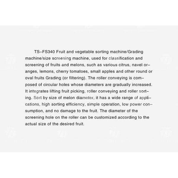 Connected Pipeline Jujube Fruit Sorting Machine Multifunctional