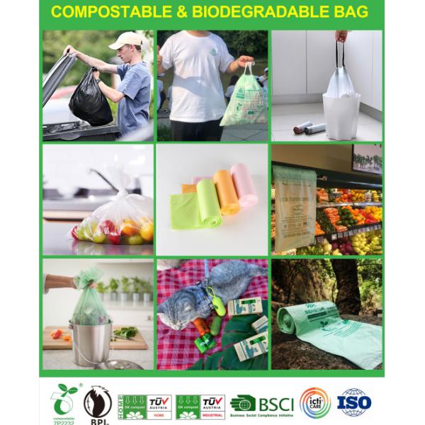 Packaging Shopping Bag Biodegradable PLA Environmentally Friendly Plastic Bags