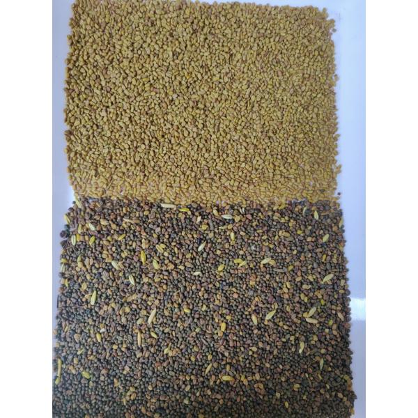 High Capacity Wheat Color Sorter Machine New Intelligent Cloud Technology