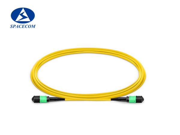 Quality SPACECOM Fiber Optics Cables , Mpo Mtp Patch Cord for telecom network for sale