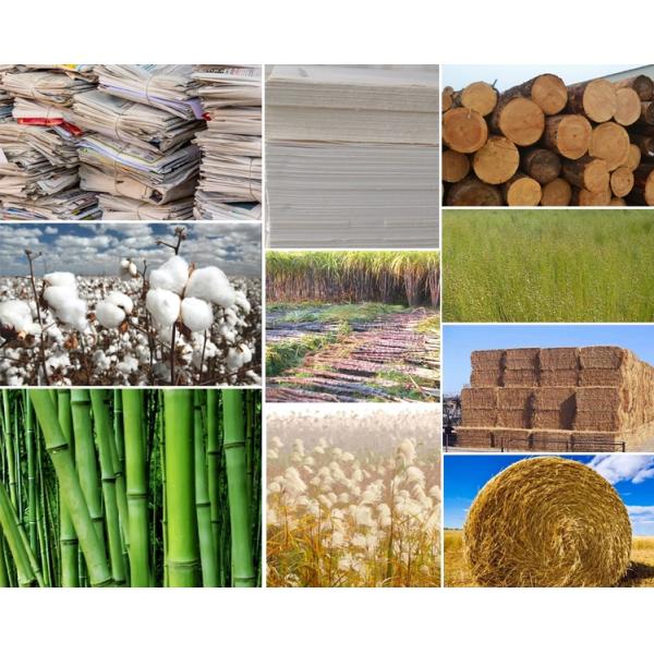 12.8*7.7*5.8m 2400mm Toilet Paper Manufacturing Machine