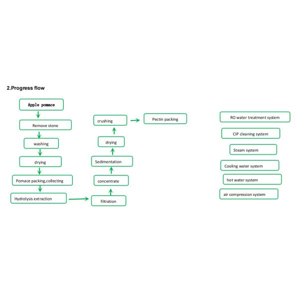 Apple Pomace Pectin Production Line 500kg Per Hour