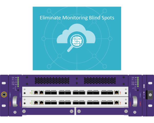 Quality Web TAP Netinsight Support Packet Broker Eliminate Monitoring Blind Spots And Security Threats for sale