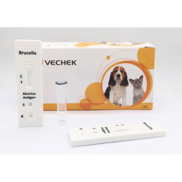 Wholesale 10 Minutes Bovine Brucella Antigen Test With Qualitative And Preliminary from china suppliers