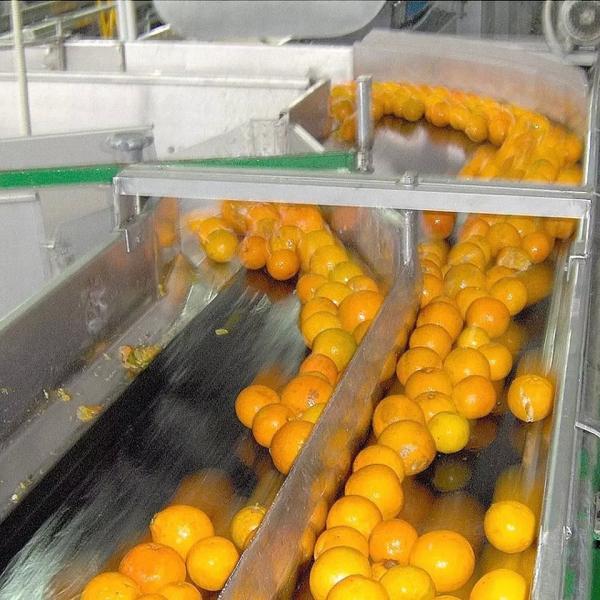 All Automatic Customizable Orange Juice Machine New Juice Processing Machine Complete Fruit Processing Machine Tangerine Pulp