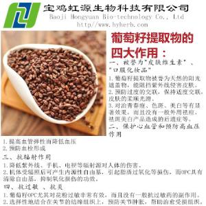 Wholesale Grape Seed Extract Vitis Vinifera from china suppliers