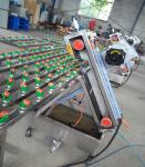 Glass Sand Belt Grinding Machine Stainless Steel Insulating Glass Edge Grinding