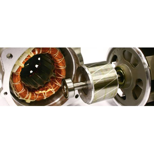 Motor Injection Rotor Neodymium Magnetic Assembly ROHS REACH Certification