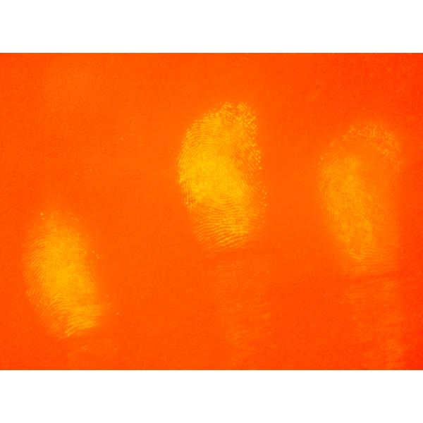 M009 BTTS-II Portable 12-waveband light source with accurate matched filter