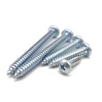DIN7981 Self Tapping Screw Phillips Pozi Drive Self-Drilling