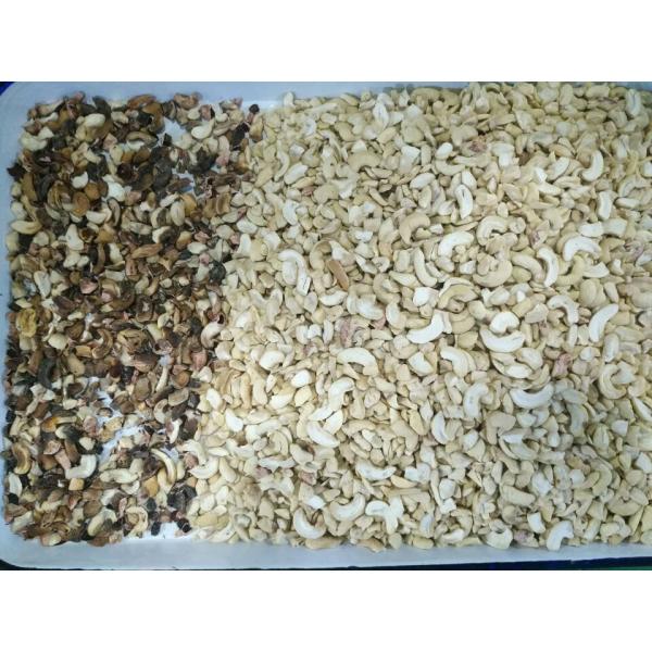 Most Popular 10 Chute Almond Color Sorter Cashew Nut Sorting Machine Nut Processing Machinery