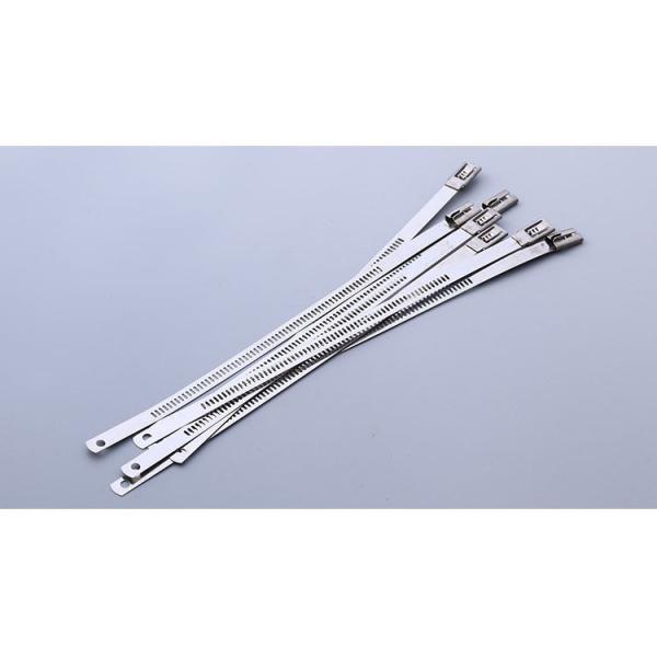 Stainless Steel Nylon Cable Ties Ball Lock Uncoated for petrochemical , food industry