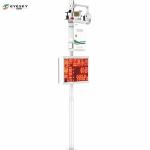 Online Wireless Environmental Monitoring System Vertical Column Installation