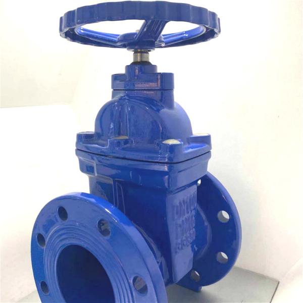NRS ANSI DIN3352 F4 F5 Rubber Resilient Seated Cast Iron non-rising Stem Gate Valve HT200 BS Flanged Manual Handwheel