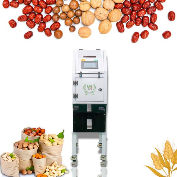 Automatic Mini Color Sorter For Macadamia Tiger Nut