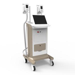 Wholesale -15~5 ℃ (0.1℃ adjustable) Cryolipolysis Fat Melting Machine from china suppliers